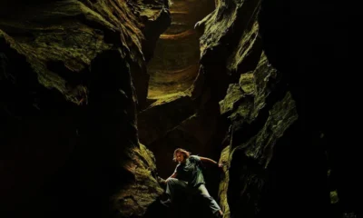 Apex film afişi