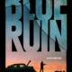Blue Ruin (Intikam) konusu ve film afişi