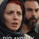 A Separation (Bir Ayrılık) konusu ve film afişi