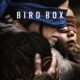 Bird Box (Kafes) konusu ve film afişi