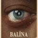 The Whale (Balina) konusu ve film afişi
