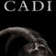 The Witch (Cadı) konusu ve film afişi