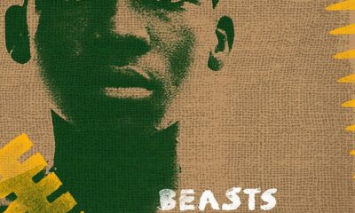 Beasts of No Nation konusu ve film afişi