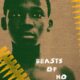 Beasts of No Nation konusu ve film afişi