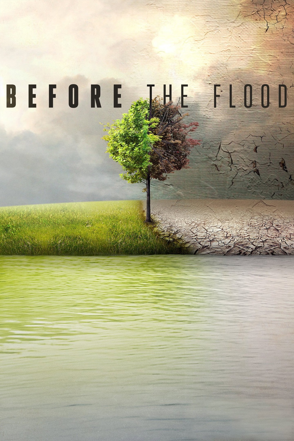 Before the Flood (Tufandan Önce) konusu ve film afişi