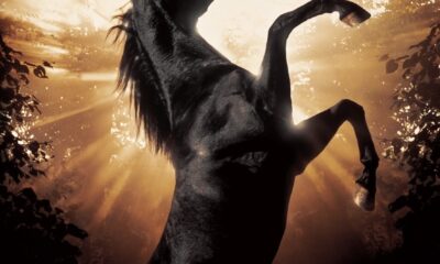 Black Beauty (Siyah Inci) konusu ve film afişi