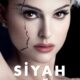 Black Swan (Siyah Kuğu) konusu ve film afişi