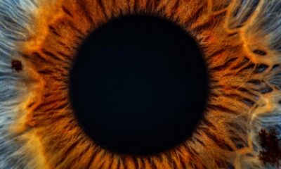 I Origins (Kök) konusu ve film afişi