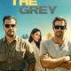 In the Grey konusu ve film afişi