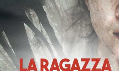The Gırl in the Fog (Sisli Vadide) konusu ve film afişi