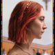 Lady Bird (Uğur Böceği) konusu ve film afişi