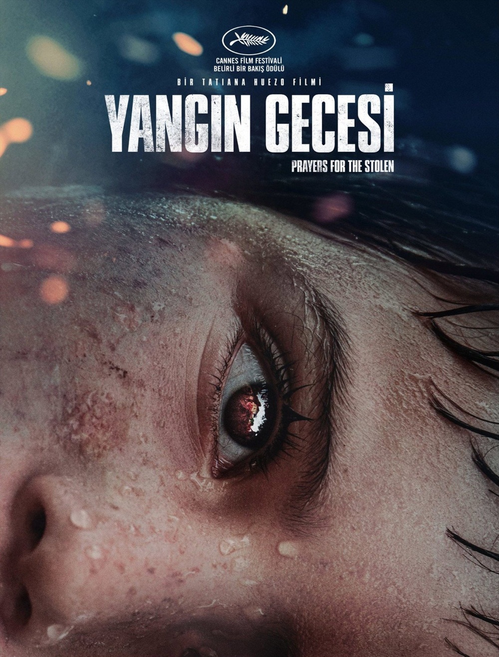 Prayers For the Stolen (Yangın Gecesi) konusu ve film afişi
