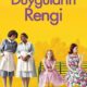 The Help (Duyguların Rengi) konusu ve film afişi