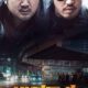 The Outlaws (Haydutlar) konusu ve film afişi