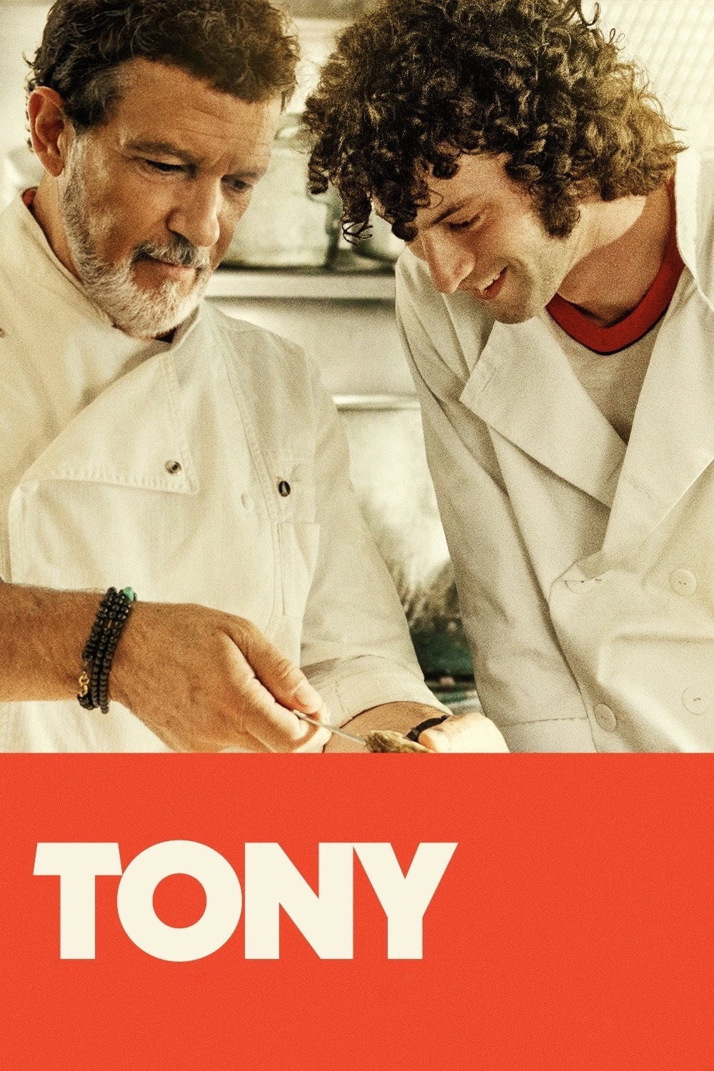 Tony konusu ve film afişi