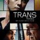 Trance (Trans) konusu ve film afişi