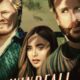 Windfall (Düşeş) konusu ve film afişi